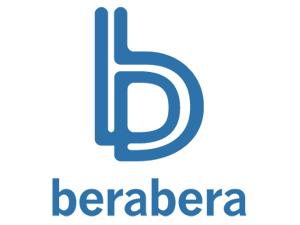 balonmano bera bera